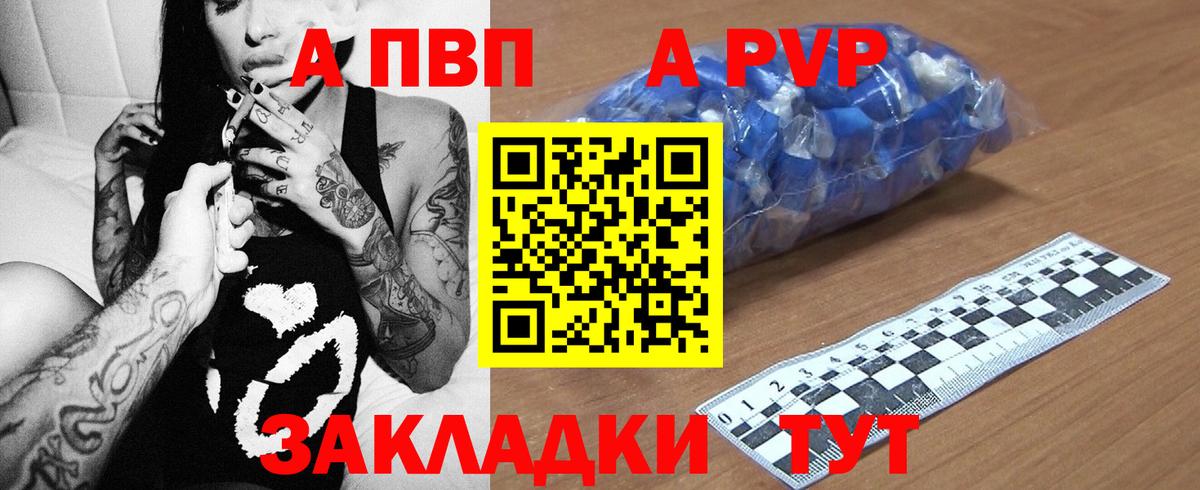 Alfa_PVP СК КРИС Малгобек