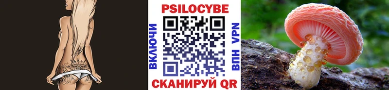 наркота  Малгобек  Галлюциногенные грибы прущие грибы 