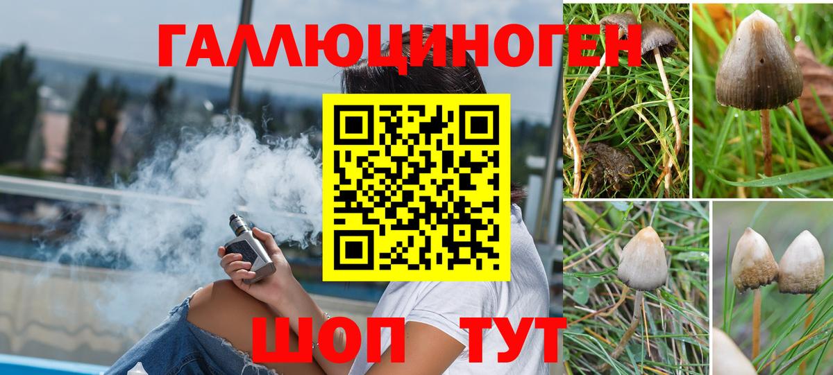 Каннабис  ГАШИШ  Кокаин  Мефедрон   Малгобек  Вход с VPN  Наркошоп  Альфа ПВП СОЛЬ кристаллы 