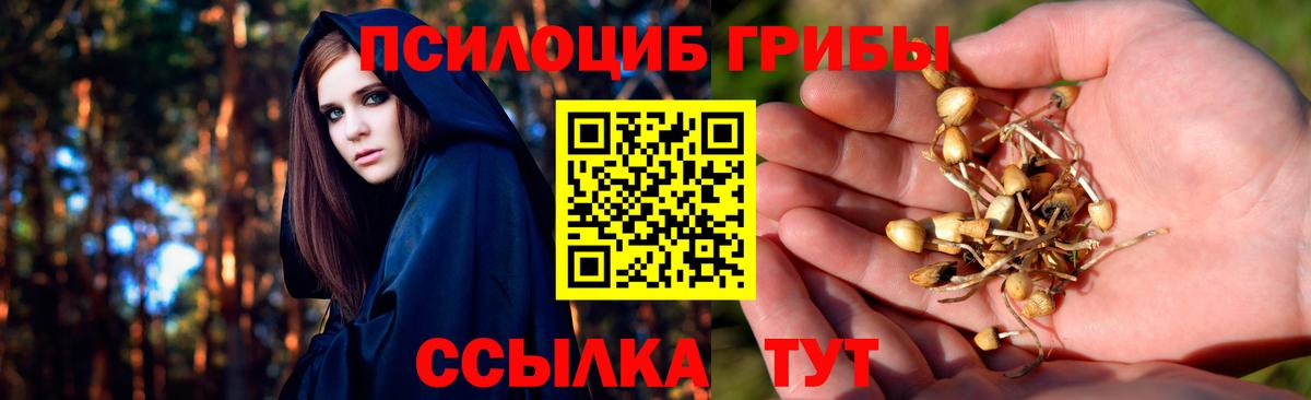 Псилоцибиновые грибы Magic Shrooms Малгобек